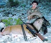 American Ibex Hunts with professional hunting guide Dan Moody Hunting Services in Texas