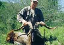 American Ibex Hunts with professional hunting guide Dan Moody Hunting Services in Texas