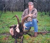 American Ibex Hunts with professional hunting guide Dan Moody Hunting Services in Texas