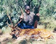 Axis Hunts with professional hunting guide Dan Moody Hunting Services in Texas