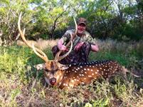 Axis Hunts with professional hunting guide Dan Moody Hunting Services in Texas