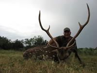 Axis Hunts with professional hunting guide Dan Moody Hunting Services in Texas