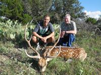 Axis Hunts with professional hunting guide Dan Moody Hunting Services in Texas