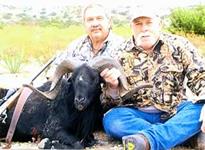 Black Hawaiian Hunts with professional hunting guide Dan Moody Hunting Services in Texas