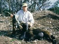 Black Hawaiian Hunts with professional hunting guide Dan Moody Hunting Services in Texas