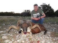 Black Hawaiian Hunts with professional hunting guide Dan Moody Hunting Services in Texas