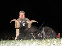 Black Hawaiian Hunts with professional hunting guide Dan Moody Hunting Services in Texas
