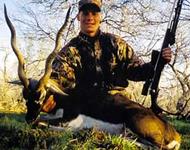 Blackbuck Hunts with professional hunting guide Dan Moody Hunting Services in Texas