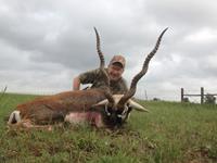 Blackbuck Hunts with professional hunting guide Dan Moody Hunting Services in Texas