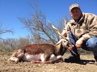 Blackbuck Hunts with professional hunting guide Dan Moody Hunting Services in Texas