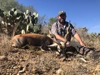 Blackbuck Hunts with professional hunting guide Dan Moody Hunting Services in Texas
