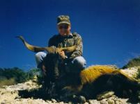 Catalina Goat Hunts with professional hunting guide Dan Moody Hunting Services in Texas