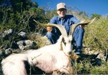 Catalina Goat Hunts with professional hunting guide Dan Moody Hunting Services in Texas