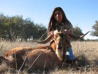 Catalina Goat Hunts with professional hunting guide Dan Moody Hunting Services in Texas