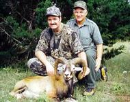 Corsican Ram Hunts with professional hunting guide Dan Moody Hunting Services in Texas