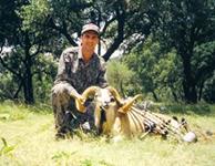 Corsican Ram Hunts with professional hunting guide Dan Moody Hunting Services in Texas