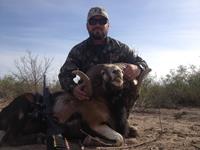 Corsican Ram Hunts with professional hunting guide Dan Moody Hunting Services in Texas