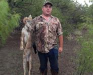 Coyote Hunts with professional hunting guide Dan Moody Hunting Services in Texas