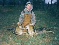 Coyote Hunts with professional hunting guide Dan Moody Hunting Services in Texas