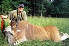 Eland Hunts with professional hunting guide Dan Moody Hunting Services in Texas