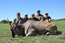 Eland Hunts with professional hunting guide Dan Moody Hunting Services in Texas
