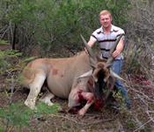 Eland Hunts with professional hunting guide Dan Moody Hunting Services in Texas