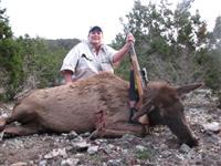 Elk Hunts with professional hunting guide Dan Moody Hunting Services in Texas