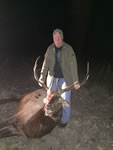Elk Hunts with professional hunting guide Dan Moody Hunting Services in Texas