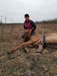 Elk Hunts with professional hunting guide Dan Moody Hunting Services in Texas