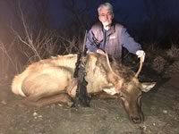 Elk Hunts with professional hunting guide Dan Moody Hunting Services in Texas