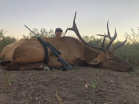 Elk Hunts with professional hunting guide Dan Moody Hunting Services in Texas