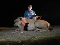 Elk Hunts with professional hunting guide Dan Moody Hunting Services in Texas