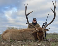 Elk Hunts with professional hunting guide Dan Moody Hunting Services in Texas