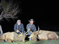 Elk Hunts with professional hunting guide Dan Moody Hunting Services in Texas