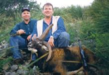 Four Horned Sheep Hunts with professional hunting guide Dan Moody Hunting Services in Texas