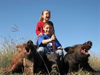 Wild Hog Hunts with professional hunting guide Dan Moody Hunting Services in Texas