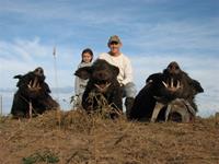 Wild Hog Hunts with professional hunting guide Dan Moody Hunting Services in Texas