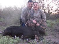 Wild Hog Hunts with professional hunting guide Dan Moody Hunting Services in Texas