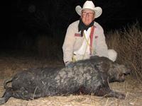 Wild Hog Hunts with professional hunting guide Dan Moody Hunting Services in Texas