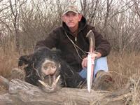 Wild Hog Hunts with professional hunting guide Dan Moody Hunting Services in Texas