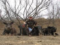 Wild Hog Hunts with professional hunting guide Dan Moody Hunting Services in Texas