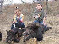 Wild Hog Hunts with professional hunting guide Dan Moody Hunting Services in Texas