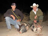 Wild Hog Hunts with professional hunting guide Dan Moody Hunting Services in Texas