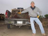 Wild Hog Hunts with professional hunting guide Dan Moody Hunting Services in Texas