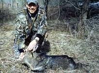 Javalina Hunts with professional hunting guide Dan Moody Hunting Services in Texas