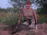 Javalina Hunts with professional hunting guide Dan Moody Hunting Services in Texas