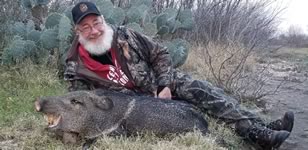 Javalina Hunts with professional hunting guide Dan Moody Hunting Services in Texas