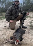 Javalina Hunts with professional hunting guide Dan Moody Hunting Services in Texas