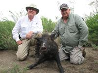 Meat Hog Hunts with professional hunting guide Dan Moody Hunting Services in Texas