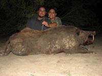 Meat Hog Hunts with professional hunting guide Dan Moody Hunting Services in Texas